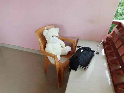 Work from Home -Model Teddy bear Stock Photos