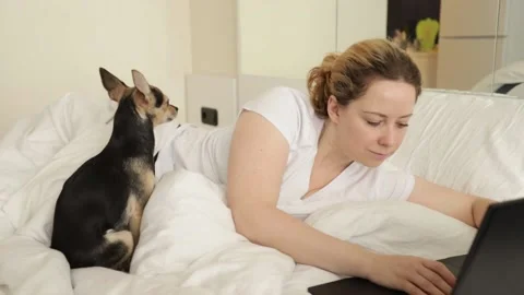 Work from home, remote learning, freelancing, woman entrepreneur with compu.. Stock Footage 238676744