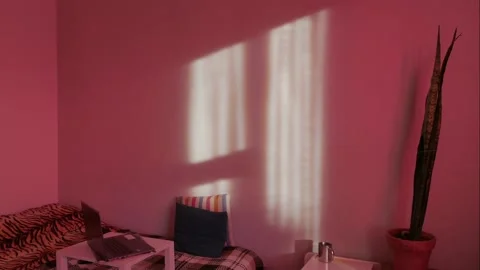 Work at home, workplace during isolation, time lapse. Stock Footage 132474130