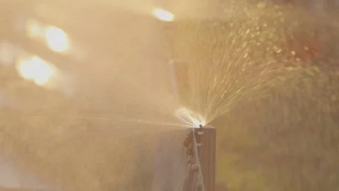 The work of the irrigation system on the farm. Irrigation process on a snail Видео 141066241