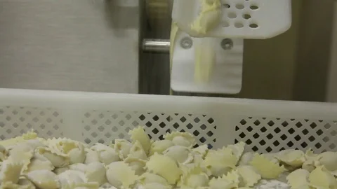 Work in the kitchen, cook prepares agnolotti, traditional Italian pasta Stock Footage 82176216