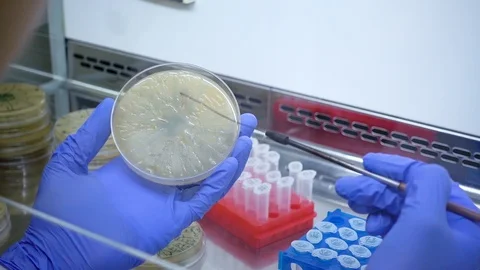 Work in the laboratory Stock Footage 108859080