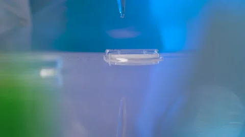 Work in laboratory Stock Footage 131843392