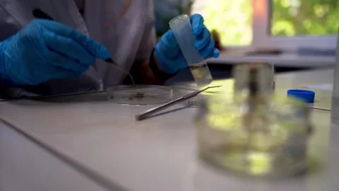 Work in the laboratory. Stock Footage 309681505