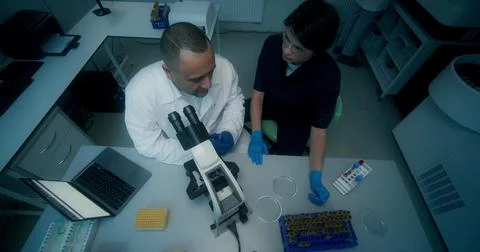 Work in the laboratory Stock Photos
