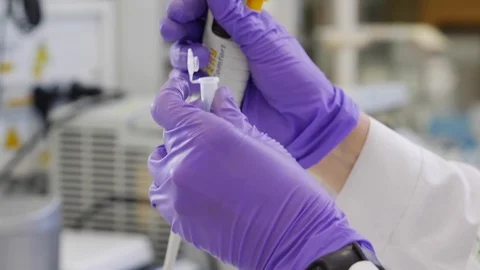 Work in the laboratory. Slow motion Stock Footage 95624383