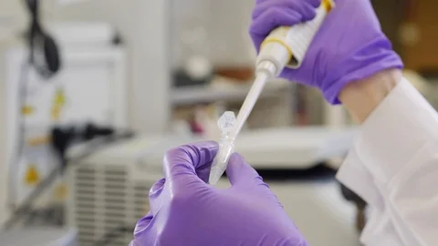 Work in the laboratory. Slow motion Stock Footage 95624412