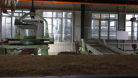 The work of the machine which grinds and twists tea leaves at a tea factory Видео 113551887