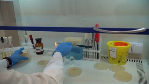 The work of the microbiologist in the laboratory Stock Footage 83729094