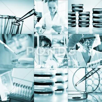 Work In The Microbiology Laboratory, Medical Research Set