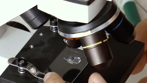 Work with a microscope Stock Footage 78661651