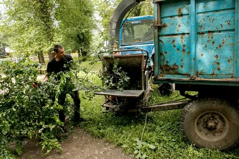 The work of a mobile shredder of dry branches and trees in a city park. Woo.. Stock Photos
