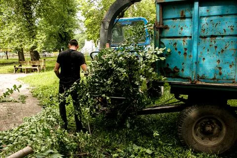 The work of a mobile shredder of dry branches and trees in a city park. Woo.. Stock Photos