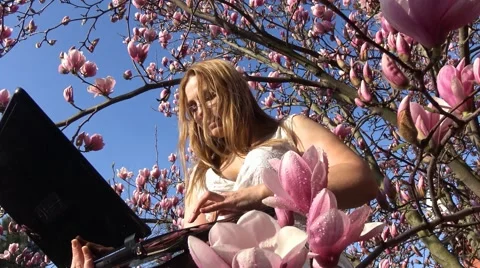 Work or play on the computer in the flowered Magnolia garden is a real pleasure. Vídeos de archivo 61677682