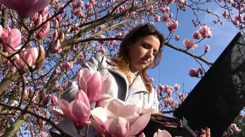 Work or play on the computer in the flowered Magnolia garden is a real pleasure. Vídeos de archivo 61677764