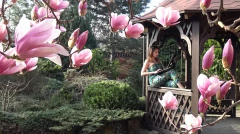 Work or play on the computer in the flowered Magnolia garden is a real pleasure. Vídeos de archivo 61678080