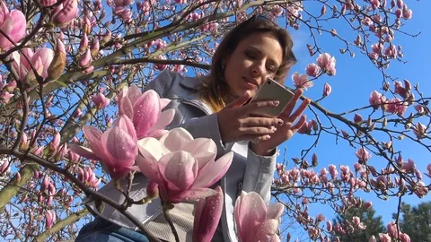 Work or play on the computer in the flowered Magnolia garden is a real pleasure. Vídeos de archivo 73104717