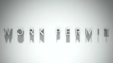 Work Permit 3D title animation with shadows on a white background Video stock 296638206