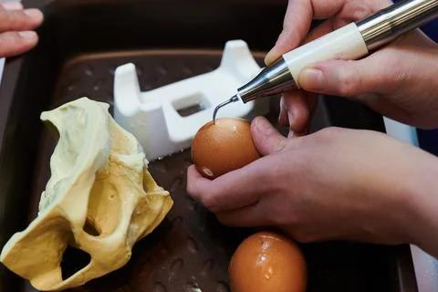 Work with a piezo instrument in the educational process of bone processing Stock Photos