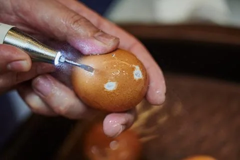 Work with a piezo instrument in the educational process of bone processing Stock Photos