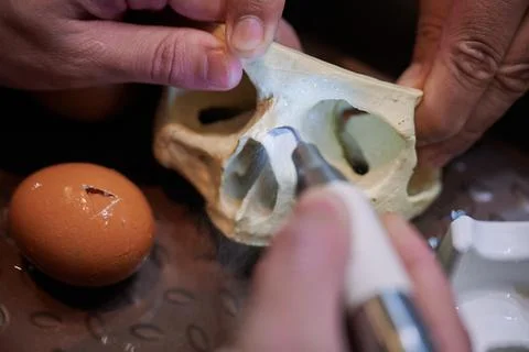 Work with a piezo instrument in the educational process of bone processing Stock Photos