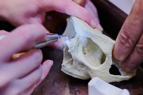 Work with a piezo instrument in the educational process of bone processing Foto stock