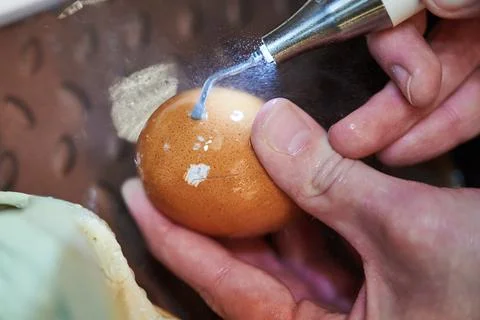 Work with a piezo instrument in the educational process of bone processing Stock Photos