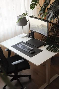 Work place at home with curved screen and orthopaedic chair.Interior with plants Stock Photos