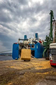 Work in a port Stock Photos