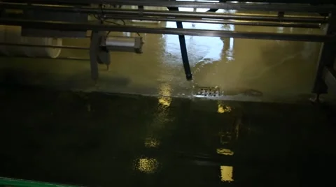 Work process of cheese factory machines Stock Footage 46227780