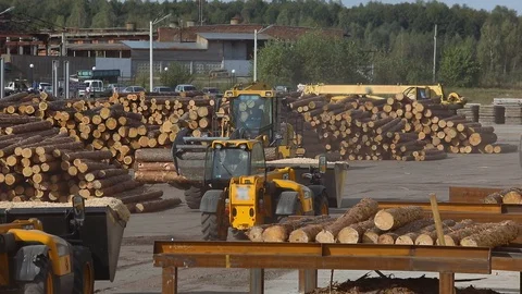 Work process at a sawmill, heavy machinery at a wood-processing factory, work Видео 103798013