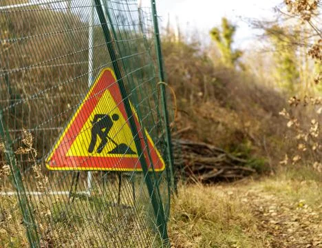 Work in progress in a wood. Foto stock