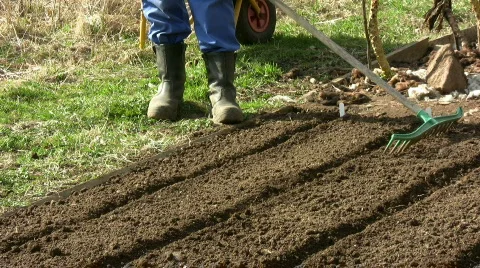 Work with rake  動画素材 361081