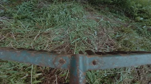 Work with a rake, weed the grass with a rake, rob the grass Stock Footage 311375948