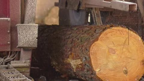 Work at a sawmill, process of cutting wood logs into boards Stock Footage 309168270
