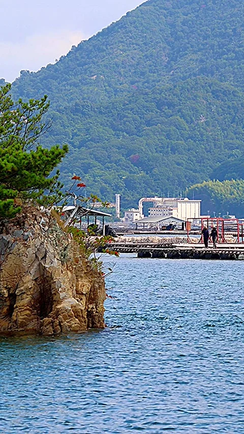 Work Scenery of Craftsmen Relocating Oyster Rafts Near Hiroshima Power Spot,01 Stock-Footage 342824743