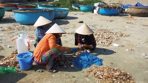Work on the shore Stock Footage 89717119