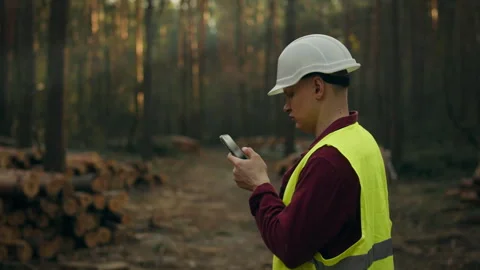 At a work site in the forest, a forest engineer stands wearing a protective Stock Footage 273702268