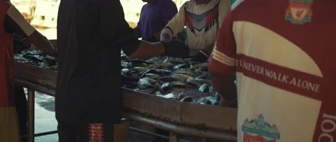 Work on sorting and selling fish on the pier. Video stock 232973941
