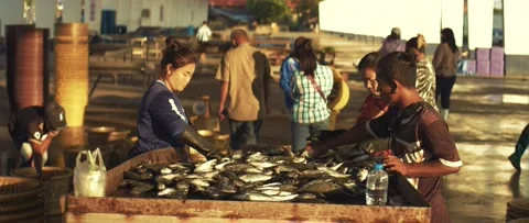 Work on sorting and selling fish on the pier. Stock Footage 232974058