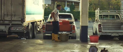 Work on sorting and selling fish on the pier. Stock Footage 232976104