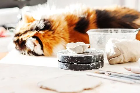 A work table in a ceramic workshop. Stock Photos