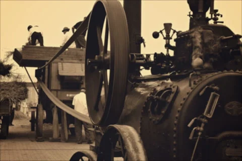 Work on the threshing wheat with a steam engine Vidéo 67696412