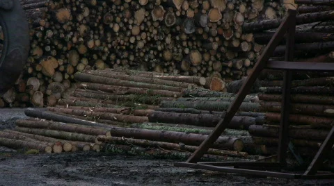 Work with timber, forklift Stock Footage 566533