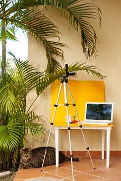 Work time with cat Stock Photos