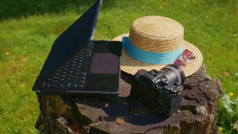 Work tools on stump amid green grass under bright sun Stock Footage 345708118