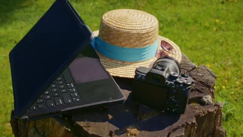 Work tools on tree stump near green grass Stock Footage 335811152