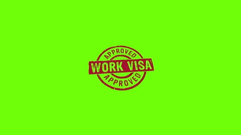 Work Visa approved stamp and stamping isolated animation Stock Footage 285493989