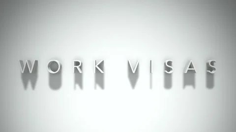 Work Visas 3D title animation with shadows on a white background Stock Footage 296638371