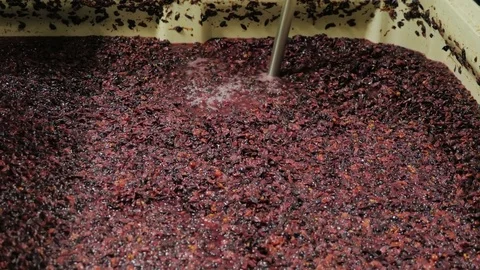 Work in the winery. Punch down cap Stock Footage 69793904
